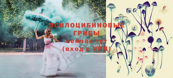 прущий лед Арсеньев